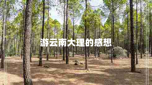 游云南大理的感想