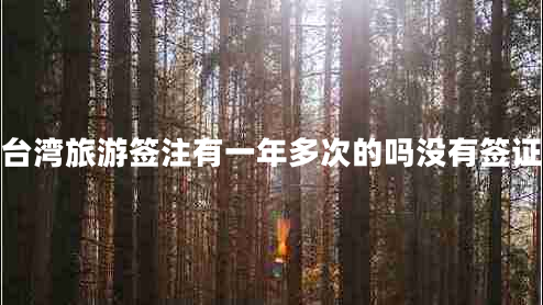 臺灣旅游簽注有一年多次的嗎沒有簽證