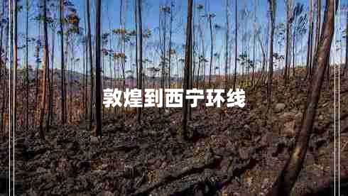 敦煌到西寧環(huán)線