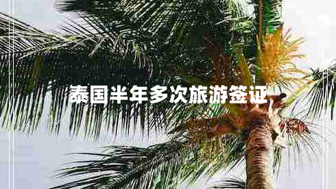 泰國(guó)半年多次旅游簽證