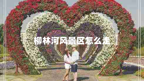 柳林河風(fēng)景區(qū)怎么走 柳林河風(fēng)景區(qū)怎么走