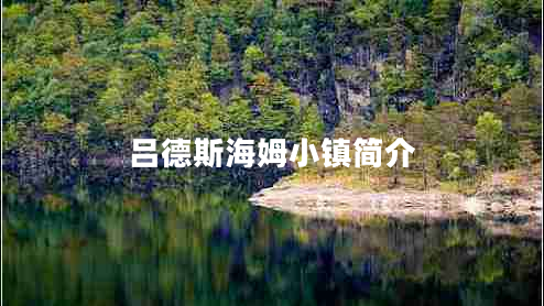 呂德斯海姆小鎮(zhèn)簡(jiǎn)介 呂德斯海姆小鎮(zhèn)簡(jiǎn)介