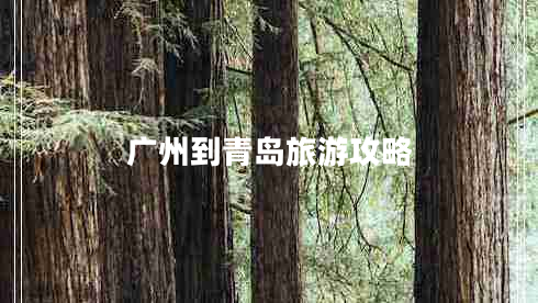 廣州到青島旅游攻略 廣州到青島旅游攻略