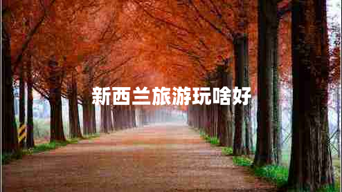 新西蘭旅游玩啥好