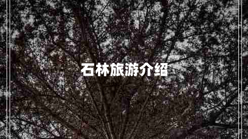 石林旅游介紹 石林旅游介紹