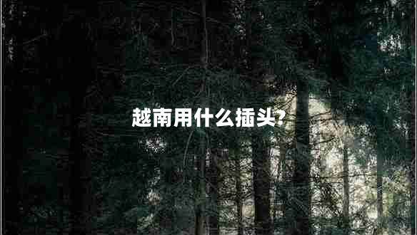 越南用什么插頭? 越南用什么插頭?