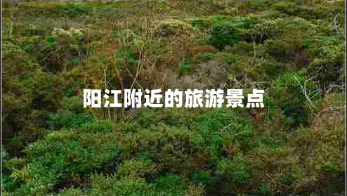 陽江附近的旅游景點(diǎn)