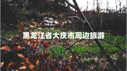 黑龍江省大慶市周邊旅游 黑龍江省大慶市周邊旅游