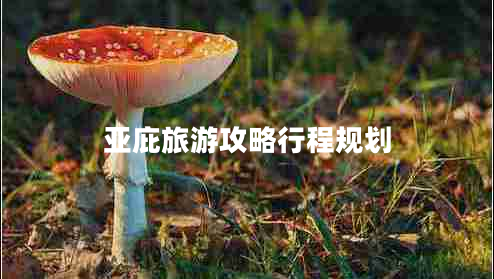 亞庇旅游攻略行程規(guī)劃