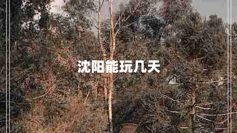 沈陽能玩幾天