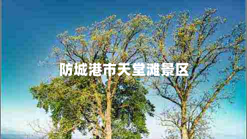 防城港市天堂灘景區(qū)