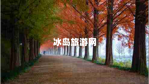 冰島旅游網(wǎng)