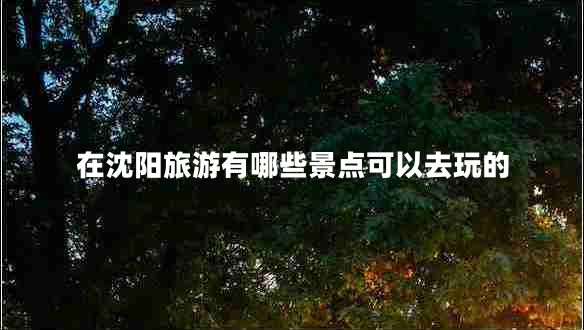 在沈陽旅游有哪些景點可以去玩的