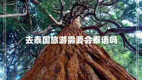 去泰國(guó)旅游需要會(huì)泰語(yǔ)嗎