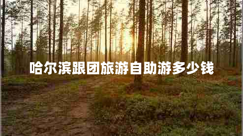 哈爾濱跟團(tuán)旅游自助游多少錢