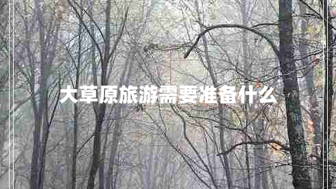 大草原旅游需要準(zhǔn)備什么