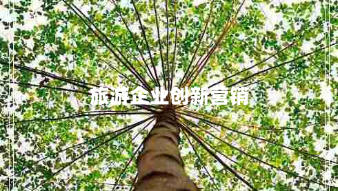 旅游企業(yè)創(chuàng)新營銷