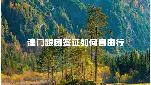 澳門跟團簽證如何自由行