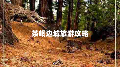 茶峒邊城旅游攻略 茶峒邊城旅游攻略