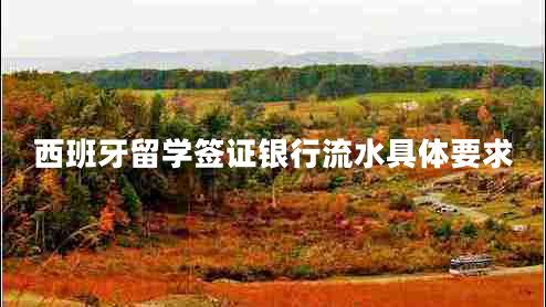 西班牙留學(xué)簽證銀行流水具體要求