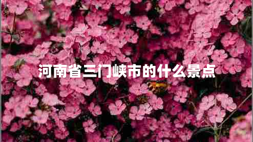河南省三門峽市的什么景點(diǎn)