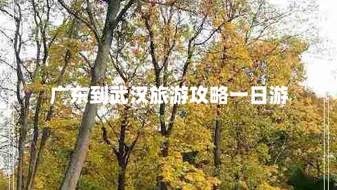 廣東到武漢旅游攻略一日游