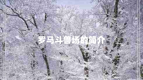 羅馬斗獸場(chǎng)的簡(jiǎn)介