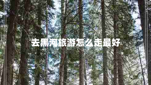 去黑河旅游怎么走最好