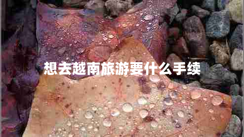 想去越南旅游要什么手續(xù) 想去越南旅游要什么手續(xù)