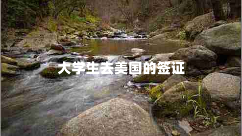 大學(xué)生去美國(guó)的簽證