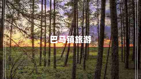 巴馬鎮(zhèn)旅游 巴馬鎮(zhèn)旅游