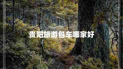 貴陽旅游包車哪家好