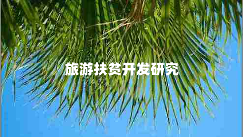 旅游扶貧開發(fā)研究