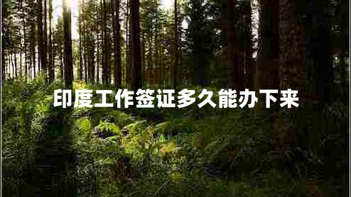 印度工作簽證多久能辦下來