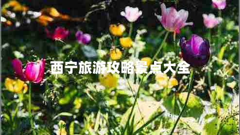 西寧旅游攻略景點大全