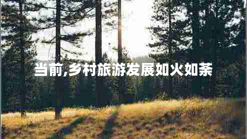 當(dāng)前,鄉(xiāng)村旅游發(fā)展如火如荼