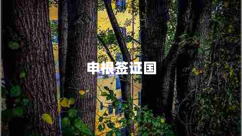 申根簽證國(guó)