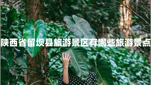 陜西省留壩縣旅游景區(qū)有哪些旅游景點(diǎn)