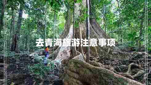 去青海旅游注意事項