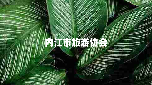 內(nèi)江市旅游協(xié)會(huì)