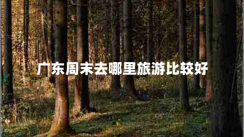 廣東周末去哪里旅游比較好