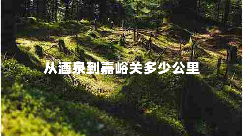 從酒泉到嘉峪關(guān)多少公里