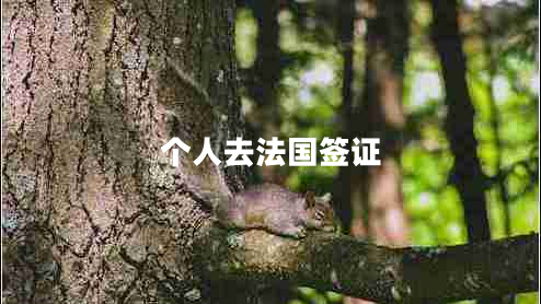 個(gè)人去法國(guó)簽證