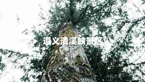 遵義清溪峽景區(qū)