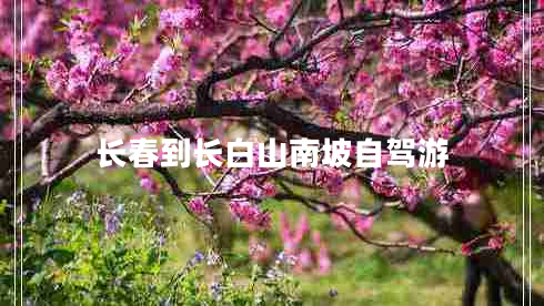 長春到長白山南坡自駕游 長春到長白山南坡自駕游