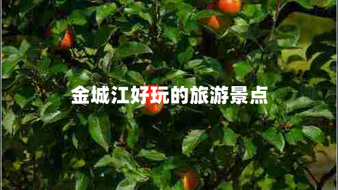 金城江好玩的旅游景點(diǎn)