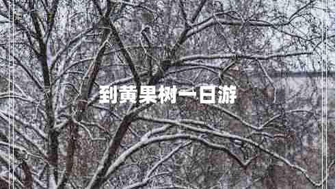 到黃果樹一日游