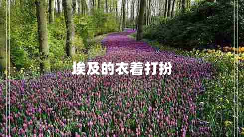 埃及的衣著打扮