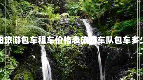 貴州貴陽旅游包車租車價格表旅游車隊包車多少錢一天 貴州貴陽旅游包車租車價格表旅游車隊包車多少錢一天