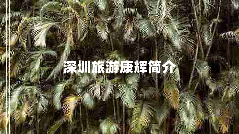 深圳旅游康輝簡介